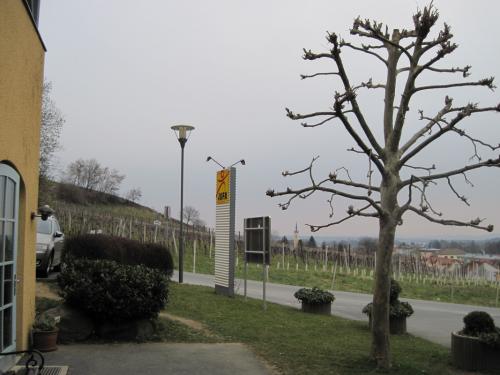 2015_03_21 OMC-Ausfl.2-Tg.Steiermark #0106