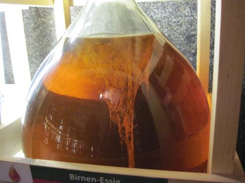 2015_03_21 OMC-Ausfl.2-Tg.Steiermark #0134