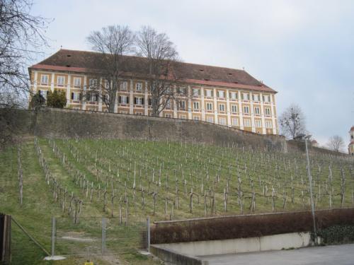 2015_03_21 OMC-Ausfl.2-Tg.Steiermark #0138