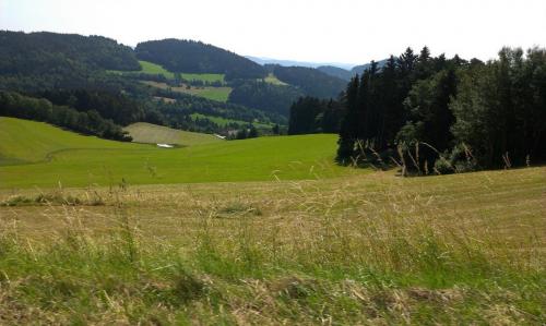 2015_07_04 OMC-Niederhauser #0495