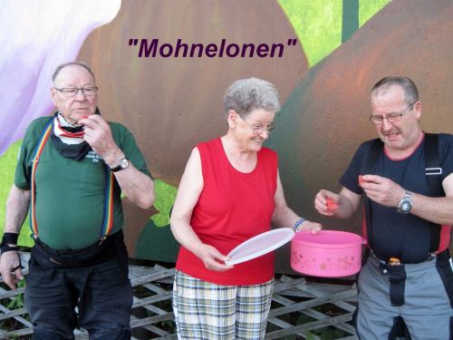 2015_07_04 OMC-WEINVIERTEL 2tg #0579