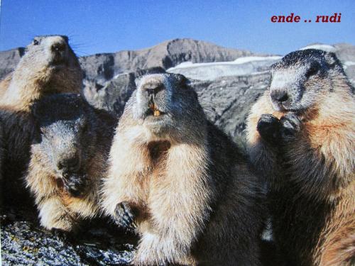 2015_08_26 OMC Highlight GROSSGLOCKNER #1077