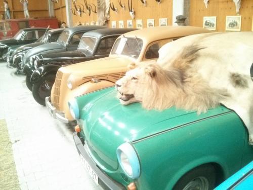 2015_09_13 OMC Heigermos #1133