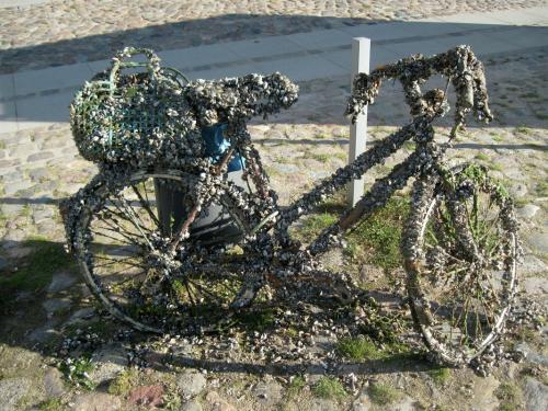 2016-01-18 OMC Fortbewegung #1256