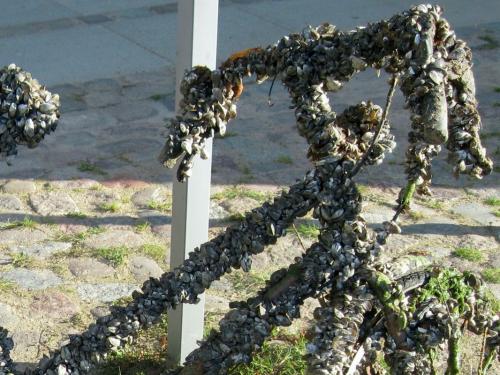 2016-01-18 OMC Fortbewegung #1257