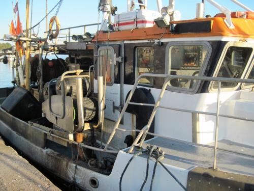 2016-01-18 OMC Fortbewegung #1262