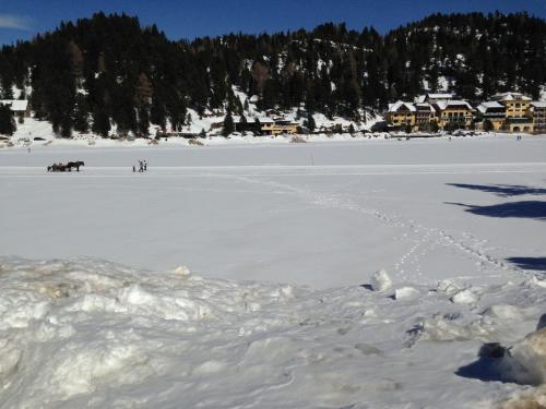 2016_03_19 OMC Ausflug Kärnten Anita K #1319