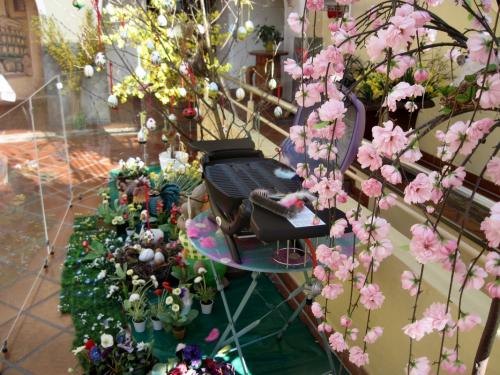 2016_03_19 OMC Frühjahrsreise Kärnten 2-Tg #1491