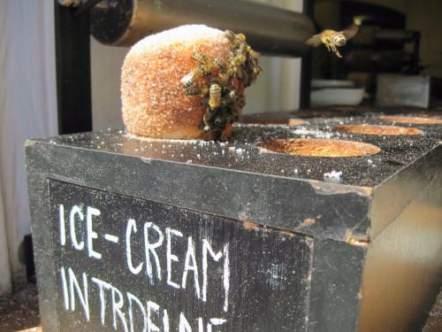 2016_08_14 OMC Schöneben - Krumau #1997