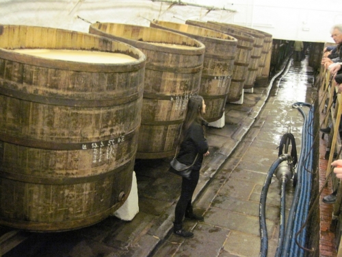 2017_03_18 OMC PILSEN Frühlingsreise #2383