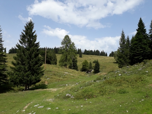 2017_08_27 OMC Postalm #2940