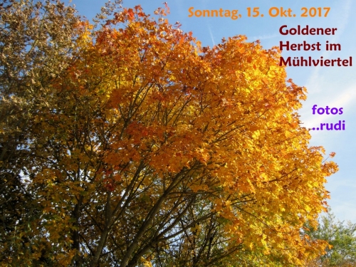 2017_10_15 OMC Herbstausf. Mühlviertel