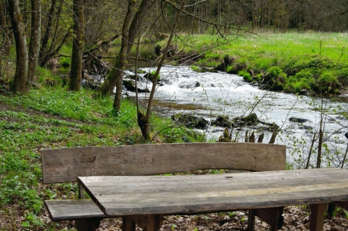 2017_10_29 OMC Oldy-Herbstwanderung Einl #2987