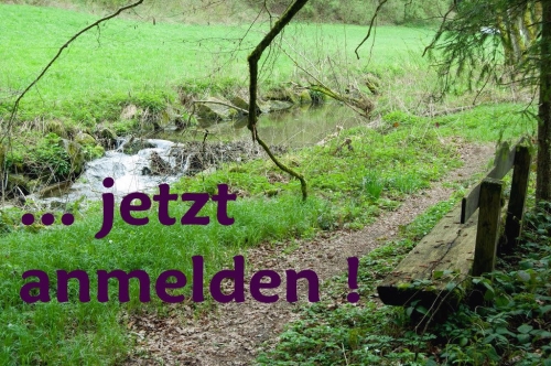 2017_10_29 OMC Oldy-Herbstwanderung Einl #2988