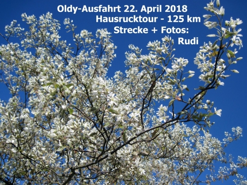 2018_04_22 OMC Baumblüten-Runde Hausruck