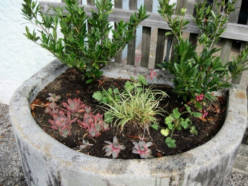 2018_06_16 OMC Zaunrenovierung #3416