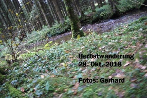 2018_10_28 OMC Biberweg Gerhard #3750