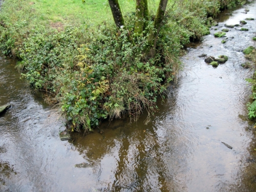 2018_10_28 OMC Biberweg Rudi #3767