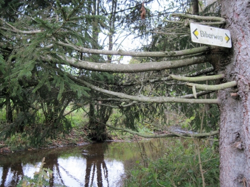 2018_10_28 OMC Biberweg Rudi #3768