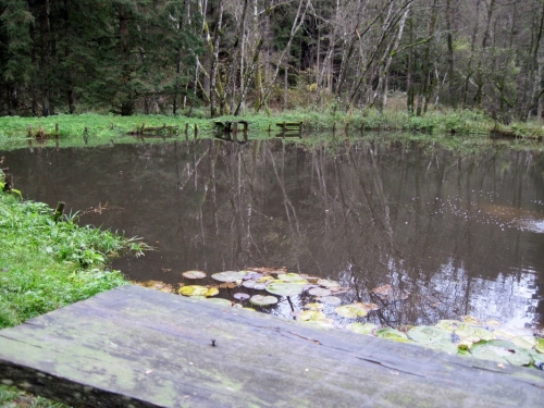 2018_10_28 OMC Biberweg Rudi #3773