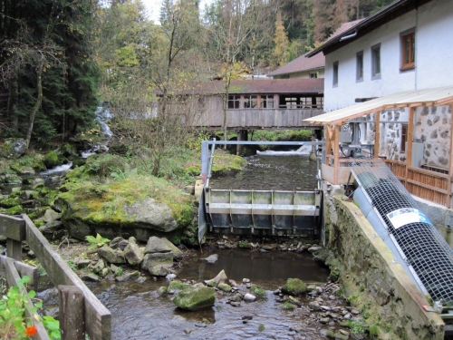2018_10_28 OMC Biberweg Rudi #3797