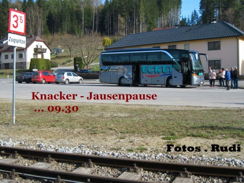 2019_03_30 OMC Busreise Frühjahr Waldv #3896
