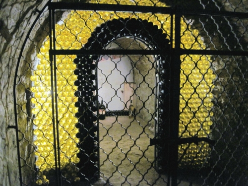 2019_03_30 OMC Busreise Frühjahr Waldv #3930