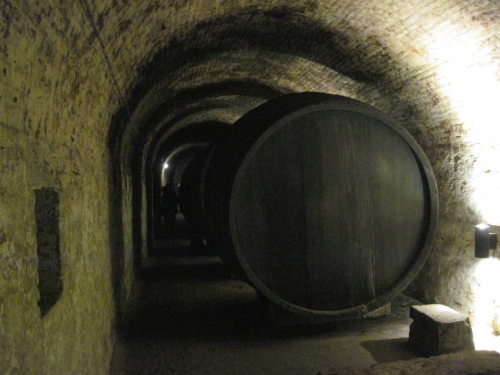 2019_03_30 OMC Busreise Frühjahr Waldv