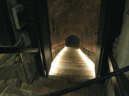 2019_03_30 OMC Busreise Frühjahr Waldv #3937