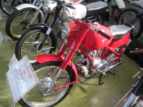 2019_03_30 OMC Busreise Frühjahr Waldv #3948