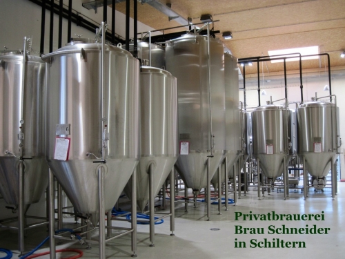 2019_03_30 OMC Busreise Frühjahr Waldv #3973