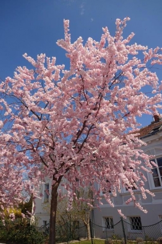 2019_03_30 OMC Busreise Gerhard #3997