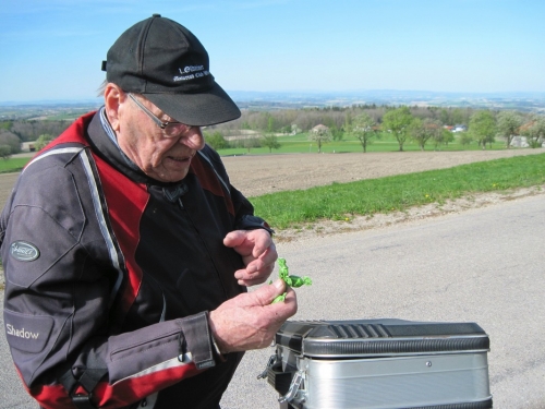 2019_04_22 OMC Schärding Cafe #4031