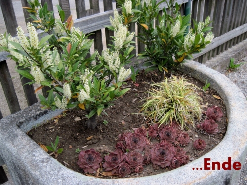 2019_04_27 OMC Frühjahrsputz #4061