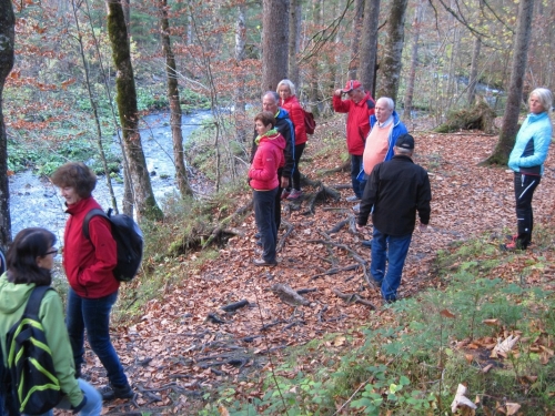 2019_10_27 OMC HW Schiederweiher #4716