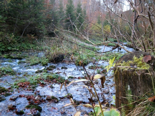 2019_10_27 OMC HW Schiederweiher #4719