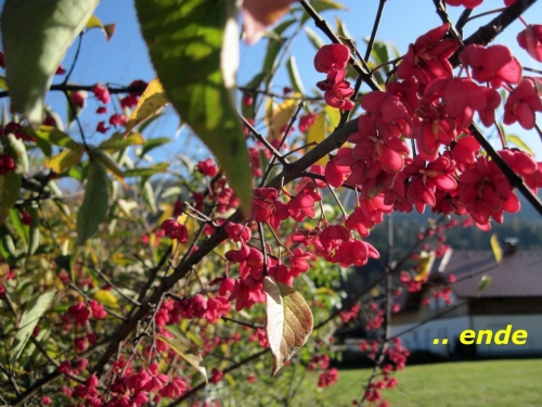 2019_10_27 OMC HW Schiederweiher #4774