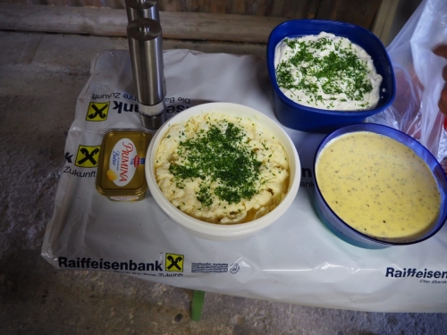 2020_09_17 OMC Besuch Bürgermeister Wels #20