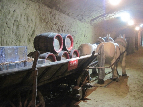 2020_09_27 OMC Raab Kellergröppe#09