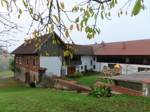 2022_10_29-OMC-Herbstwanderung#03