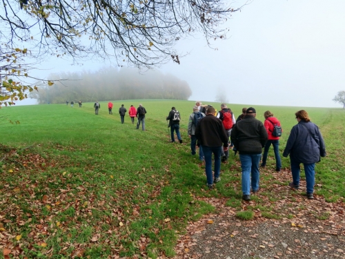 2022_10_29-OMC-Herbstwanderung#04