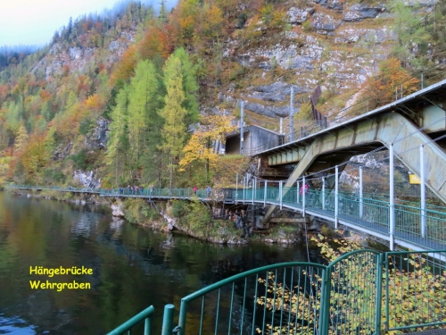 2023_11_04-OMC-Herbstwanderung#04