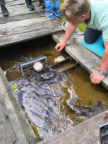 2024_06_16-OMC-Hanslwirt-Kneiding#6