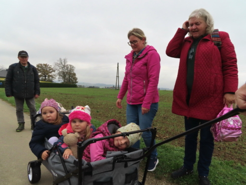 2024_11_02-OMC-Herbstwanderung#08