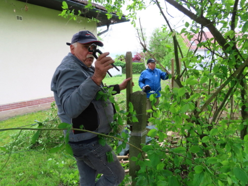 2025_04_24-OMC-Clubheim-Pflege#04