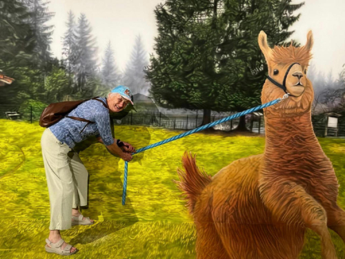 2025_06_13-OMC-BayerischerWald#25